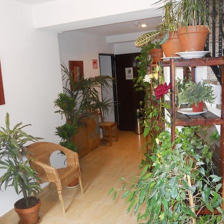 Hostal El Descanso Madrid Eksteriør billede