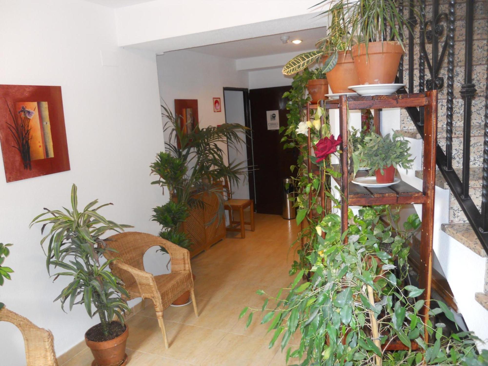 Hostal El Descanso Madrid Eksteriør billede
